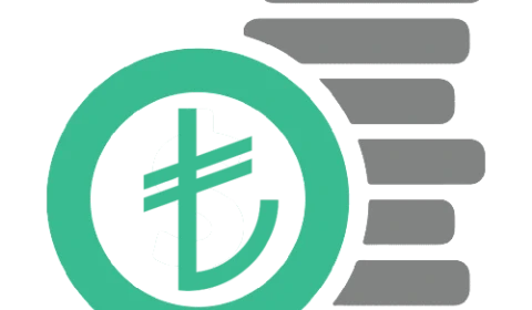 Gelirinizi Artırın